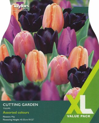 Tulip Cutting Garden