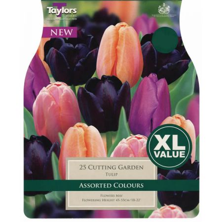 Tulip Cutting Garden