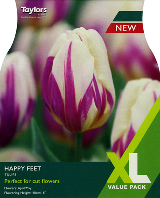 Tulip 'Happy Feet' XL Value Range (18 bulbs)