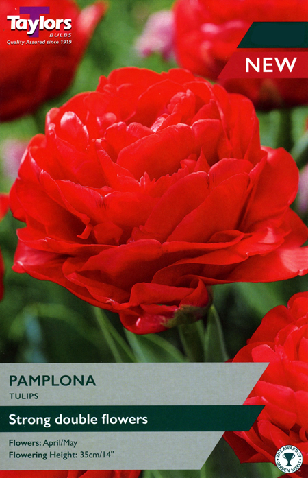 Tulip 'Pamplona' (7 bulbs)