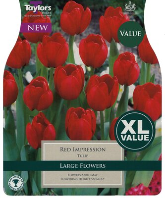 Tulip Red Impression - Image courtesy of Taylors Bulbs