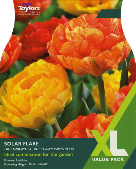 Tulip Solar Flare XL Value Range (18 bulbs)