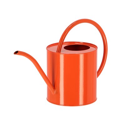 Watering Can - image 4