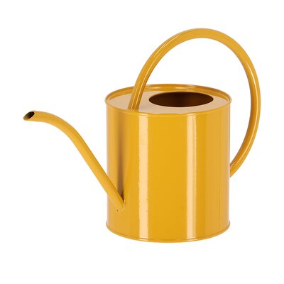 Watering Can - image 5