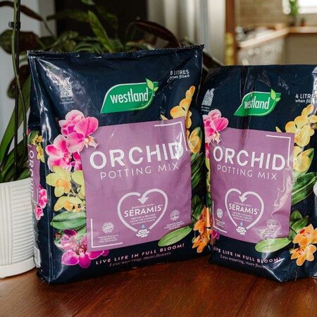 Westland Orchid Potting Mix (Enriched with Seramis -8L)