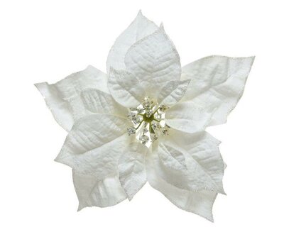 White Poinsettia on clip with glitter - image 1