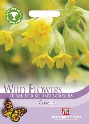 Wild Flower Cowslips (Primula veris) - image 1