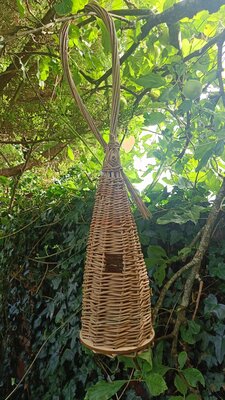 Willow Weaving Nov 15th Boyle